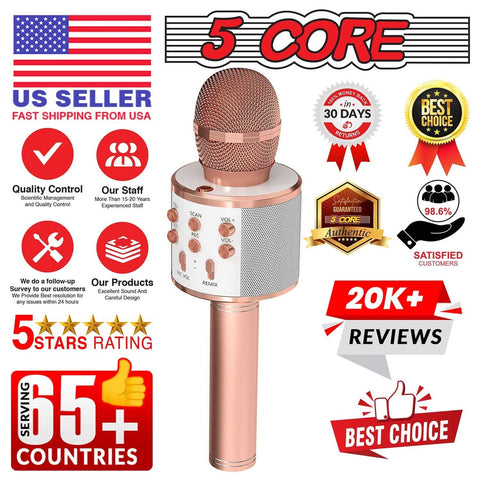 Wireless Mic for kids