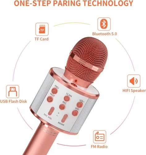 Wireless Mic for kids